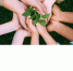 Ecowiki.ru: платформа для жителей Чувашии, увлеченных экологией - Козловский район